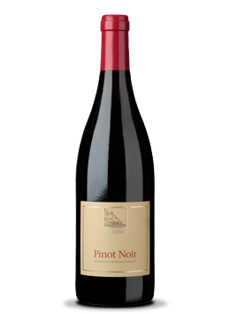 Pinot Noir 2016 Pinot Noir 2016