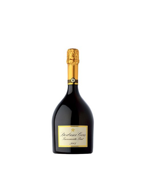 Franciacorte Brut Franciacorte Brut